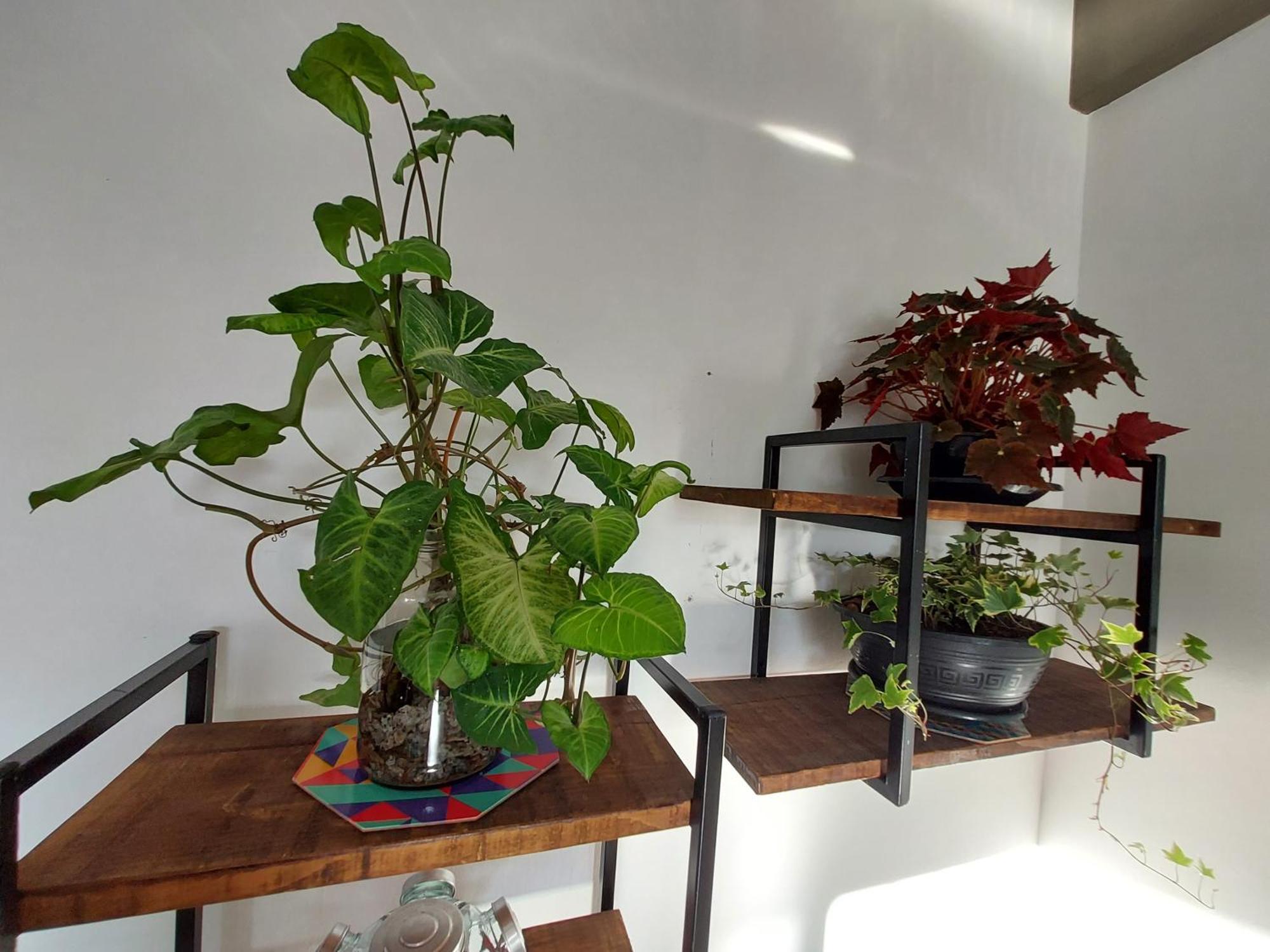 Proximo Dos Melhores Hoteis Do Centro, 2 Quartos, Portaria 24H Florianópolis Zewnętrze zdjęcie